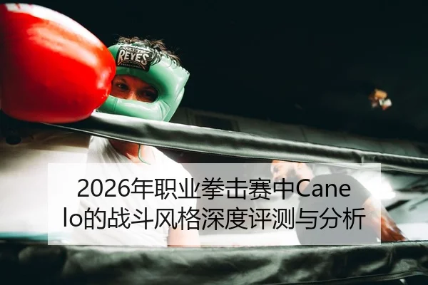 nian-zhi-ye-quan-ji-sai-zhong-de-zhan-dou-feng-ge-shen-du-ping-ce-yu-fen-xi-2-593.jpg