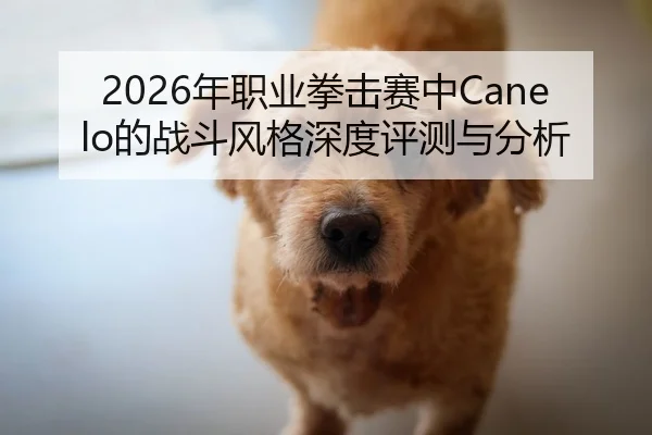 2026年职业拳击赛中Canelo的战斗风格深度评测与分析