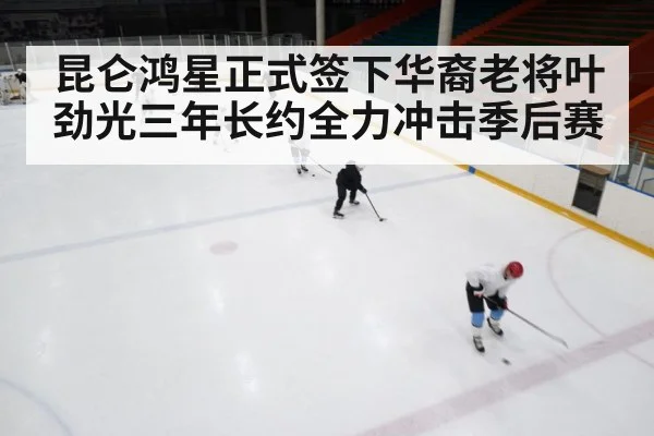 ice hockey rink